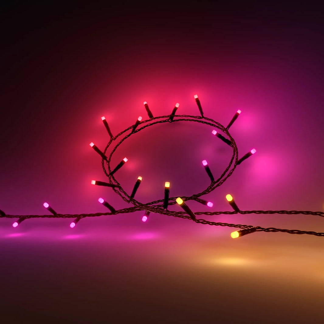 Philips Hue Festavia Smart String Lights