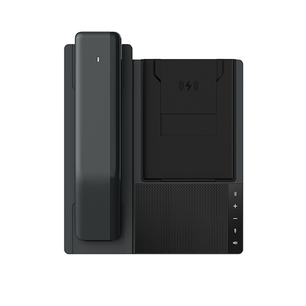 Fanvil DB20-H All-in-one Phone Station
