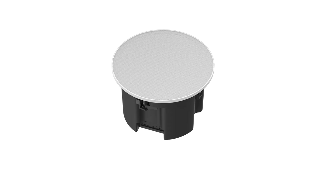 Nearity ASP100 Loud Speaker