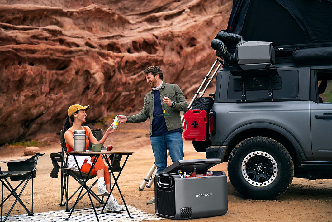 EcoFlow WAVE 3 Inc Battery