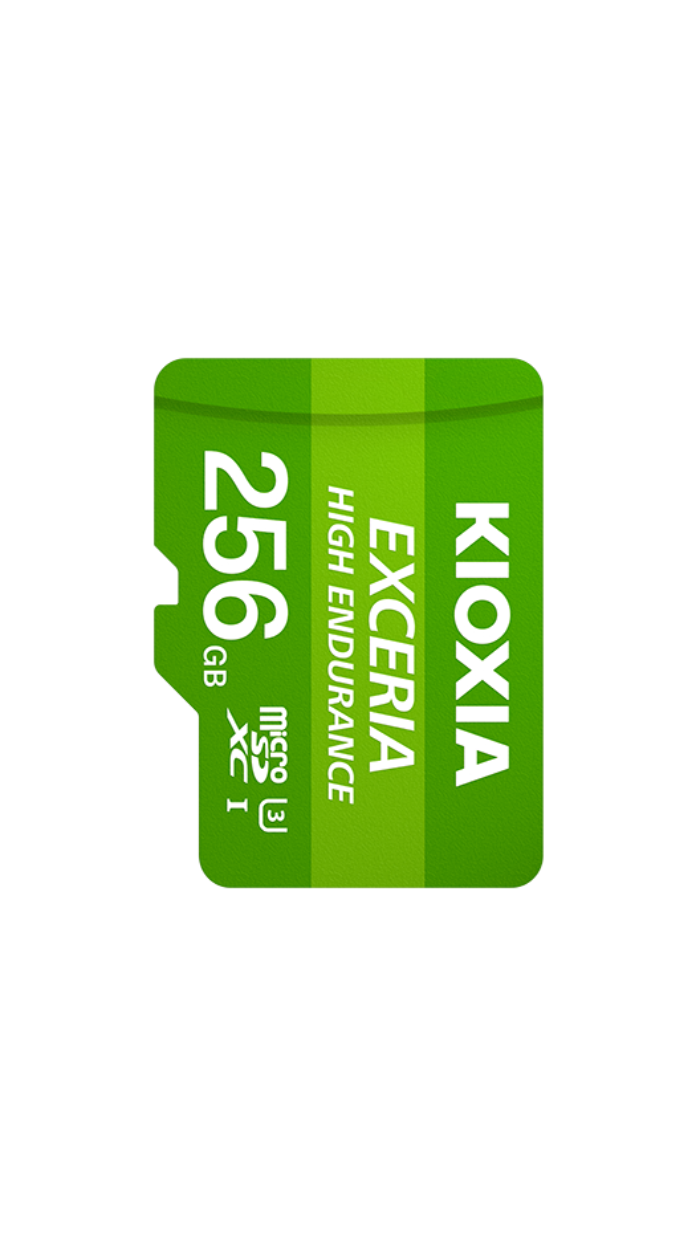 Kioxia 256GB Exceria HD U3 V90 MicroSD