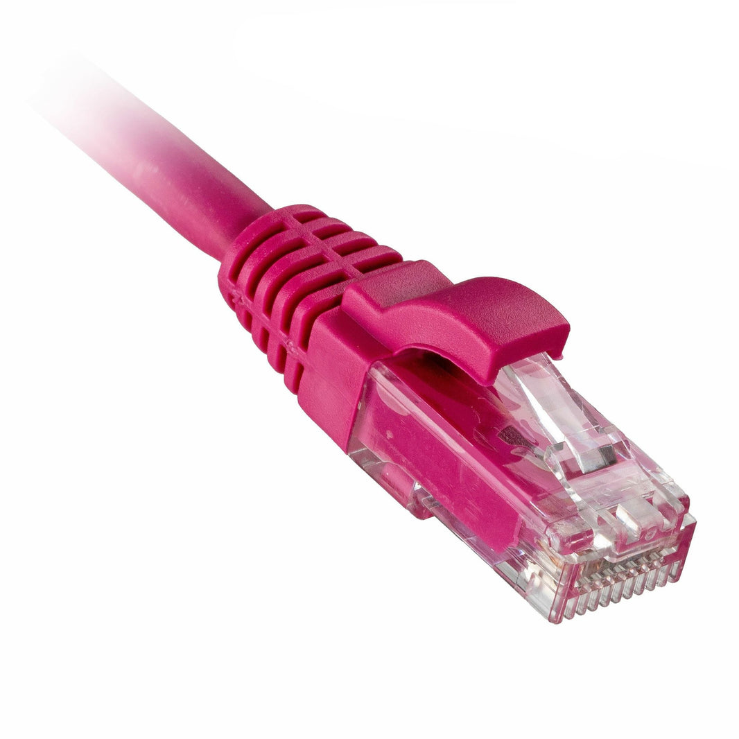 CNL 4M C6 Pk UTP Ls 24AWG SB