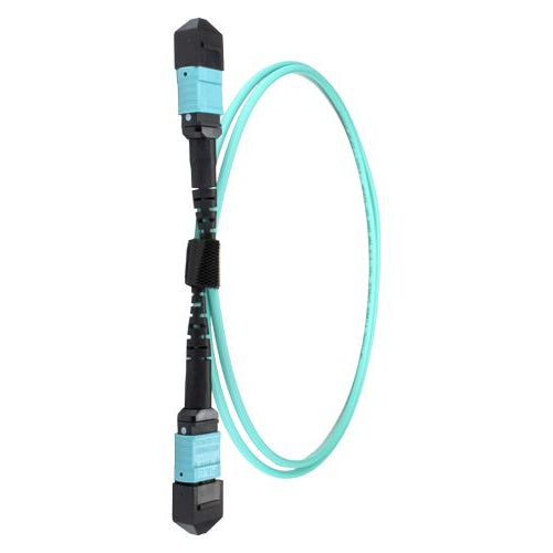 CNL 25M OM4 MPO 12F Aq TRUNK M-B