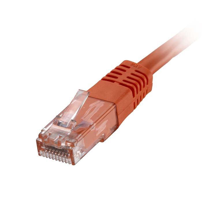 CNL 100PK 1M C6 Or UTP PVC 24AWG FMB