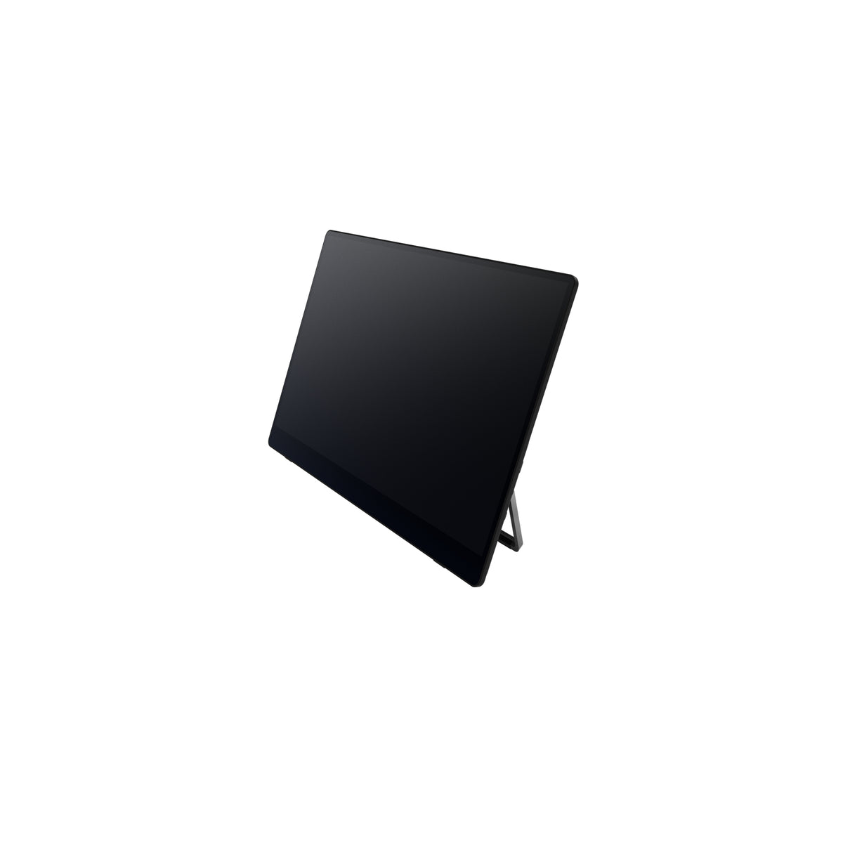 RICOH Portable Monitor 150