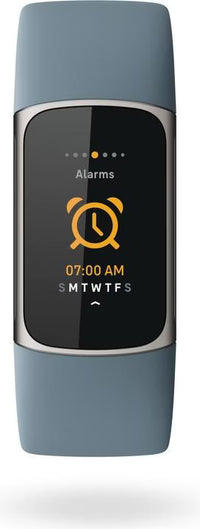 Fitbit Charge 5 & Busbi Wasp