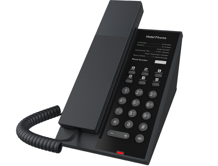 Fanvil H602W
