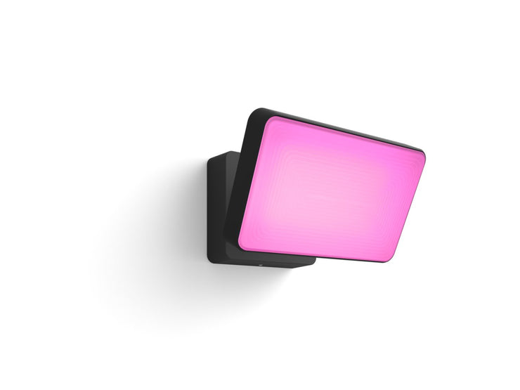 Philips Hue Outdoor - Discover Hue Gardenspot / Floodlight Black