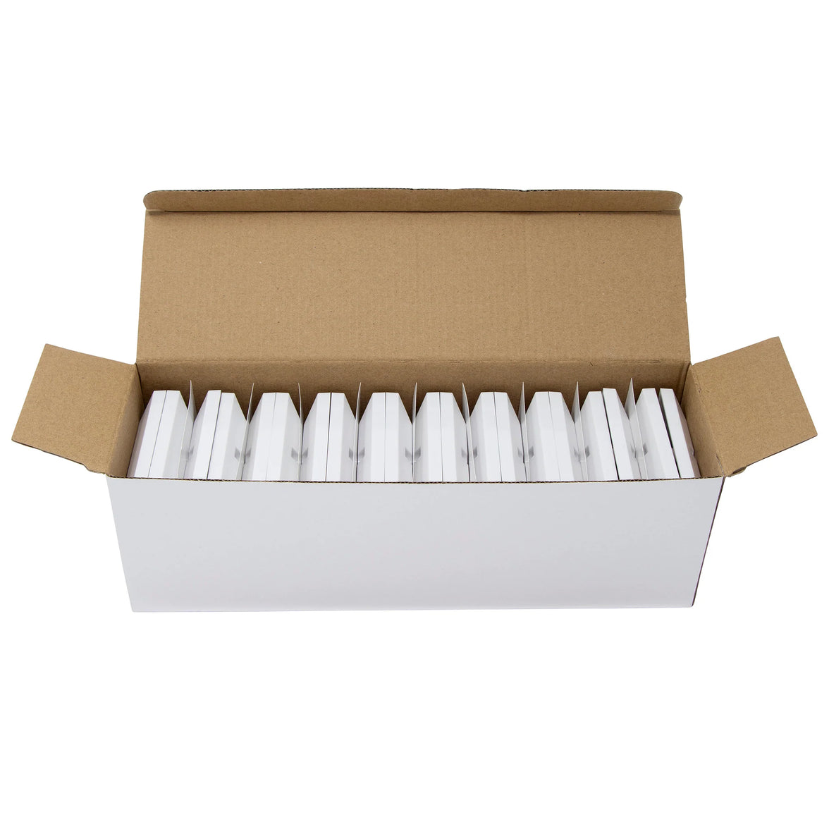 XeLAN 4 MOD BEVELLED F/PLATE PK20