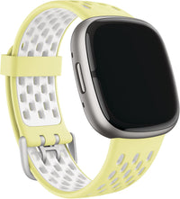 FitBit SportBand 24mmAttachFrost L