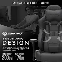 Anda Seat Dark Demon Dragon