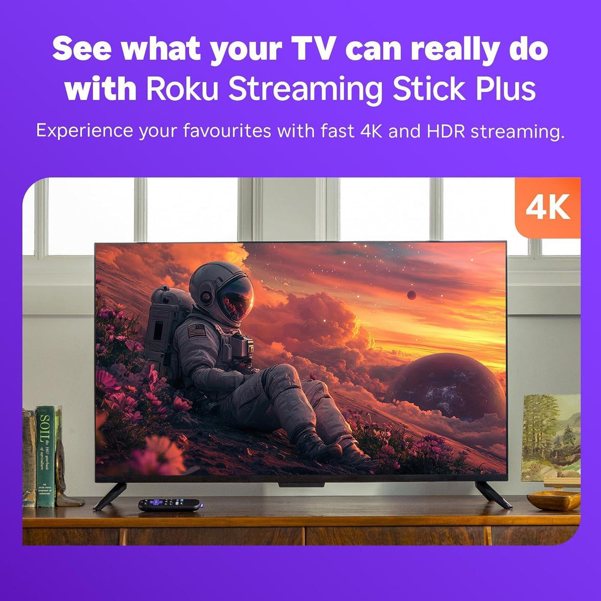 Roku Streaming Stick