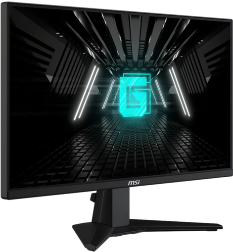 MSI 24.5 IPS MONITOR G255F