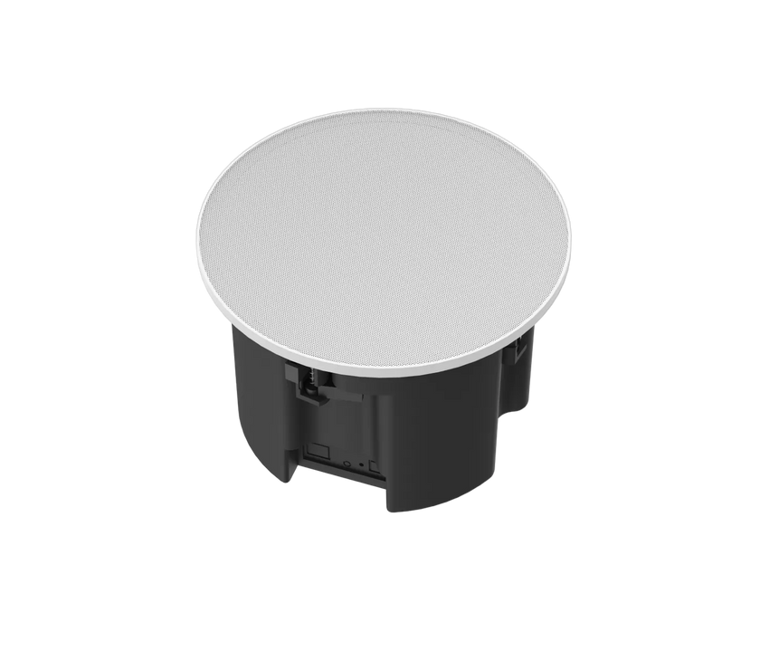 Nearity ASP100 Loud Speaker