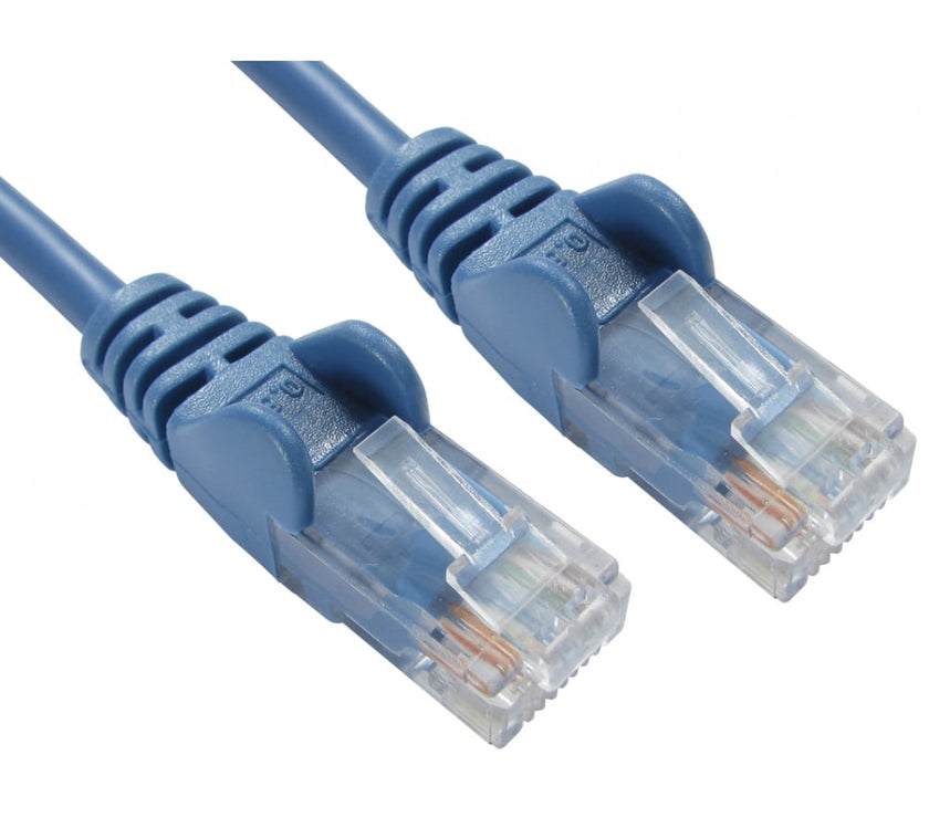 CDL 10m  10/100 Networking  - Blue
