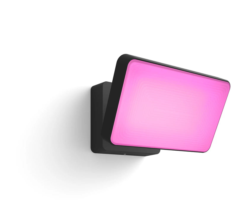 Philips Hue Outdoor - Discover Hue Gardenspot / Floodlight Black