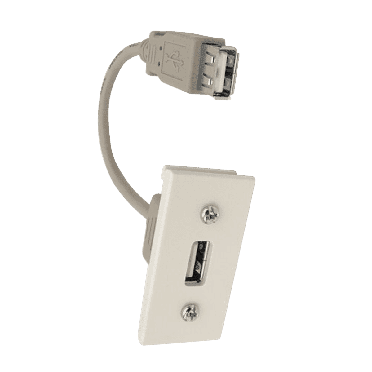 TITAN USB/A MODULE (EURO) 165MM LEAD