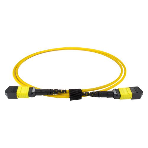 CNL 10M OS2 MPO 12F Yw TRUNK M-B