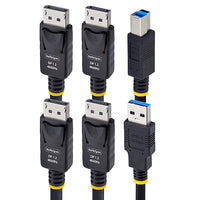 StarTech.com Dual-DP/USB Cable