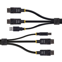 StarTech.com Dual-DP/USB Cable