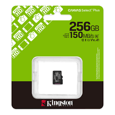 KINGSTON CANVAS SELECT PLUS 256GB