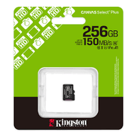 KINGSTON CANVAS SELECT PLUS 256GB