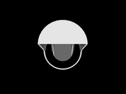 Logitech Scribe Polarizer