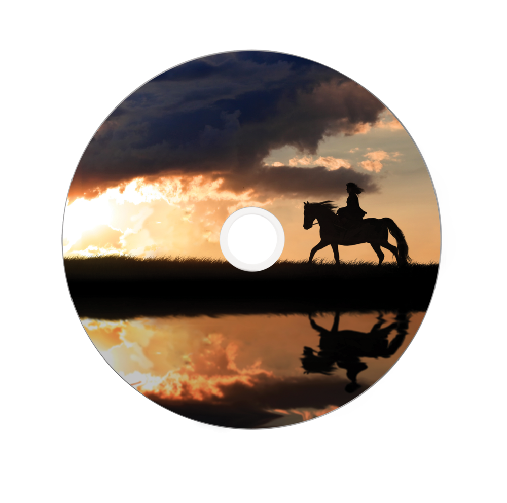 Verbatim DVD+R 8x D/L Printable 25pk