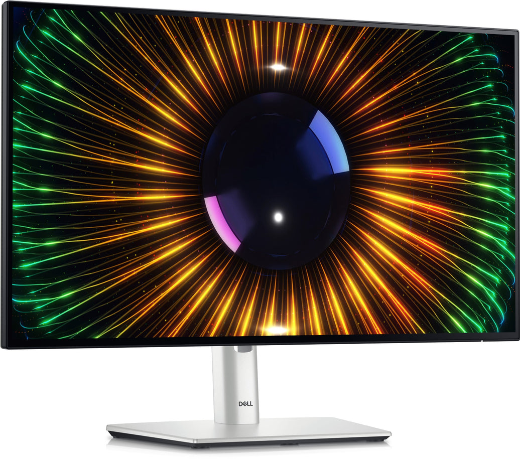 DELL 24 IPS MONITOR U2424H