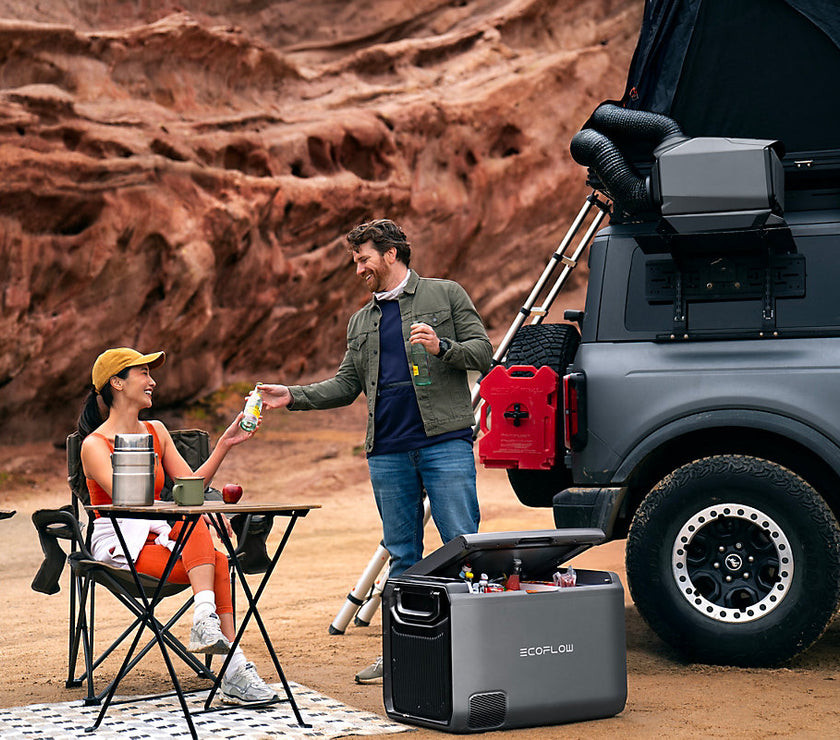 EcoFlow WAVE 3 Inc Battery