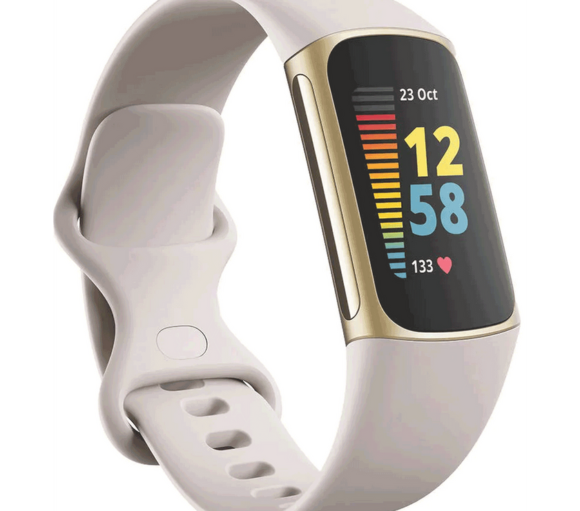 FitBit Charge 5 LW &amp; Busbi Wasp