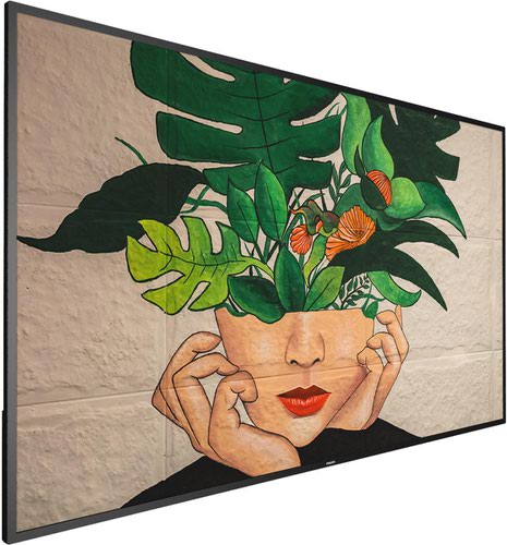 50BDL4650D 50 INCH D-Line Signage Display