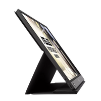 ASUS ZenScreen GO MB16AHP Portable USB Type-C Monitor - 16 inch