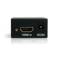 StarTech HDMI or DVI to DisplayPort