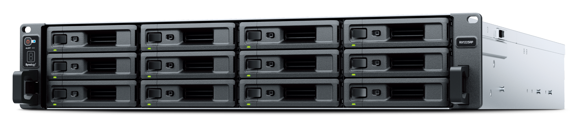 Synology RX1225RP 12 Bay Expansion