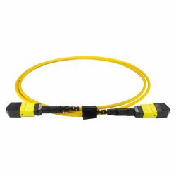 CNL 2M OS2 MPO 12F Yw TRUNK M-B