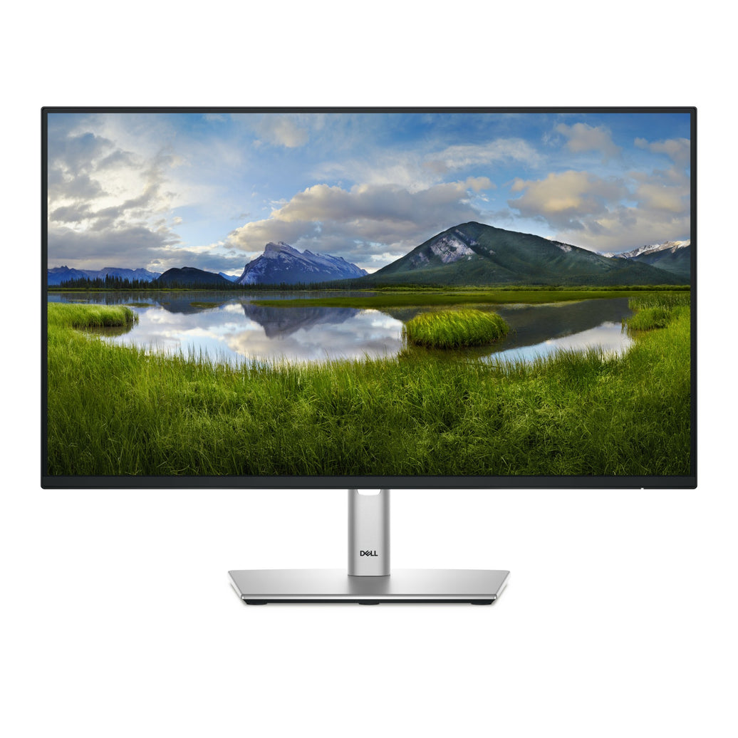 DELL 23.8 IPS MONTIOR P2425H