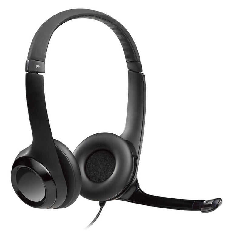 Logitech H390 USB Computer Headset
