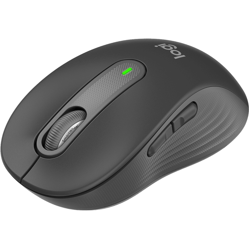 Logitech Signature M650 L for Business
