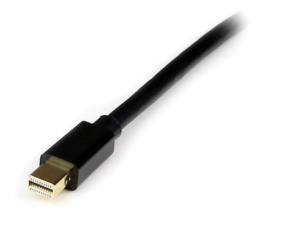 StarTech 4m Mini DP to DP Adopter Cable
