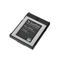 Sandisk Professional PRO-CINEMA CFexpress® VPG400 Type B - 256GB