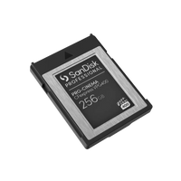 Sandisk Professional PRO-CINEMA CFexpress® VPG400 Type B - 256GB