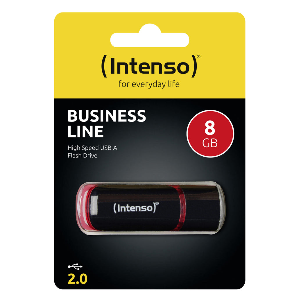 USB 2.0 Business Line 8GB
