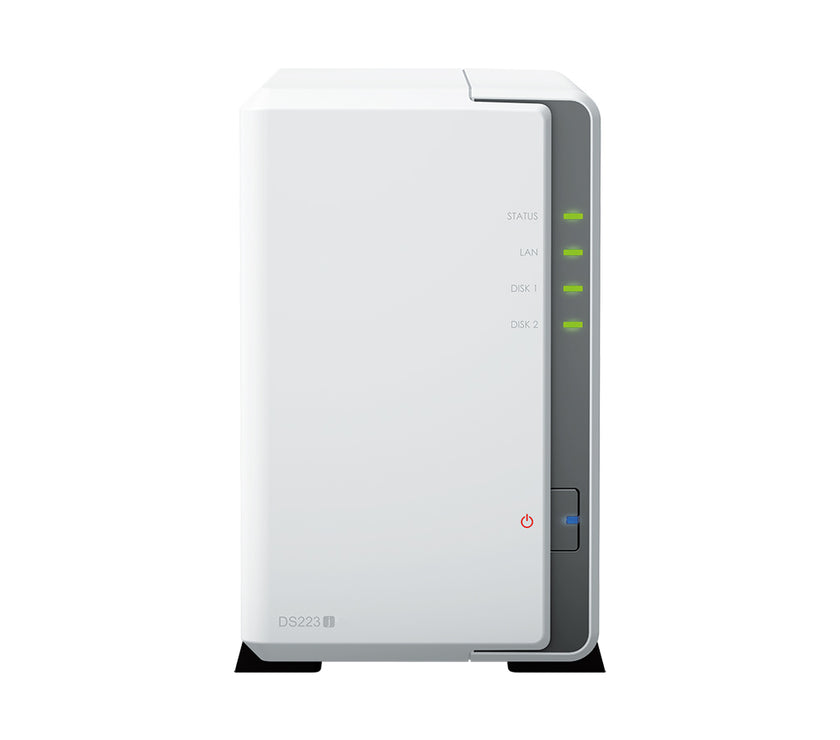 Synology DS223j/20TB N300