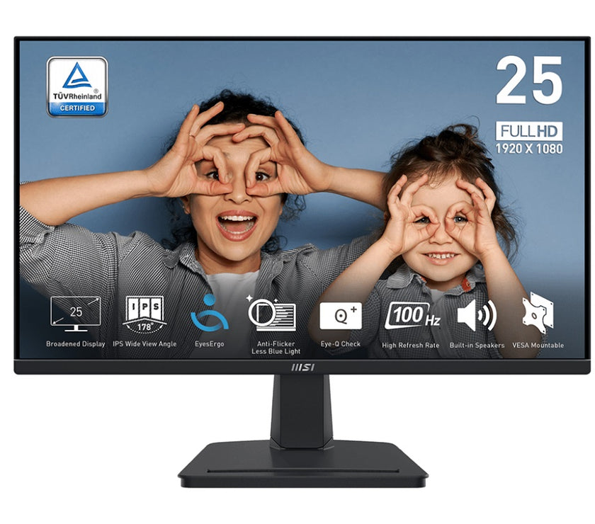 MSI PRO MP251