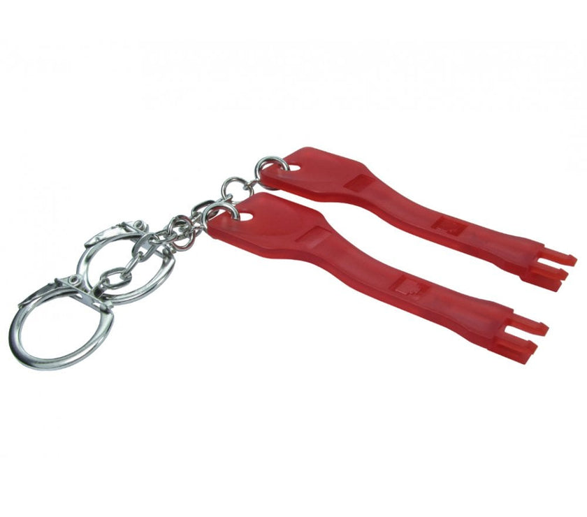 CDL RJ45 Port Blocker Keys 2 pcs