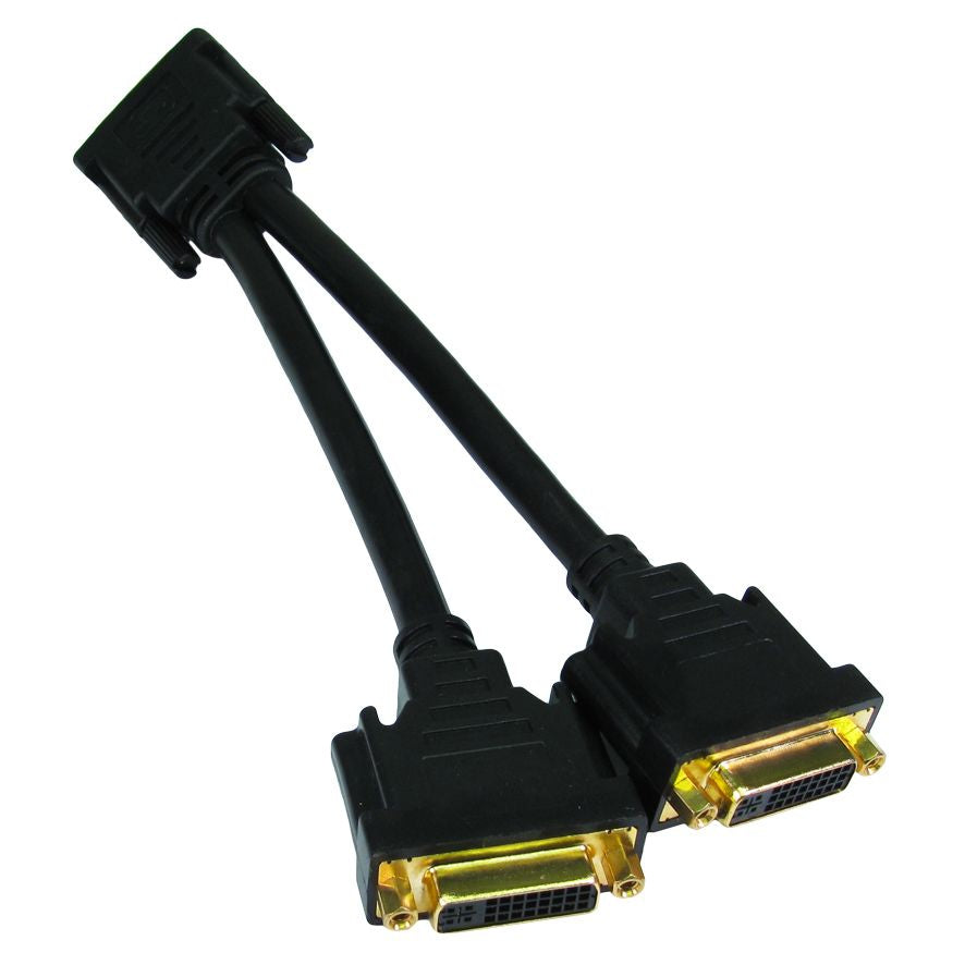 CDL DVI-D M to 2x F Splitter Cable