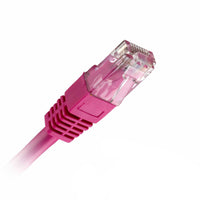 CNL 5M C6 Pk UTP PVC 24AWG FMB