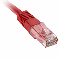 CNL 100PK 0.5M C6 Rd UTP PVC 24AWG FMB