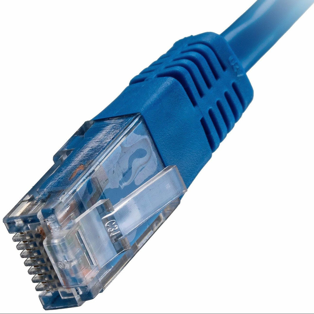 CNL 100PK 1M C6 Bl UTP PVC 24AWG FMB